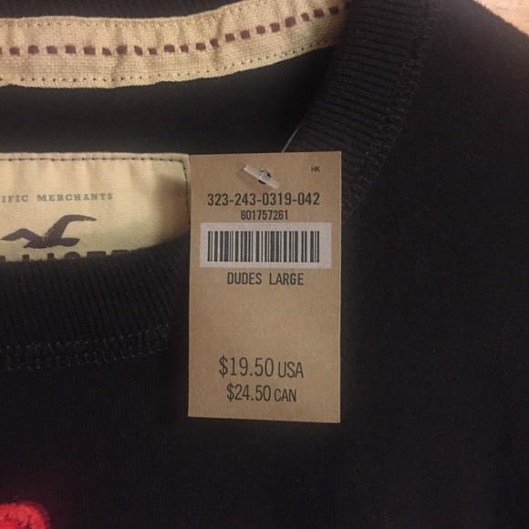 [Hollister] tee shirt new tags large brown men’s - Picture 3 of 3